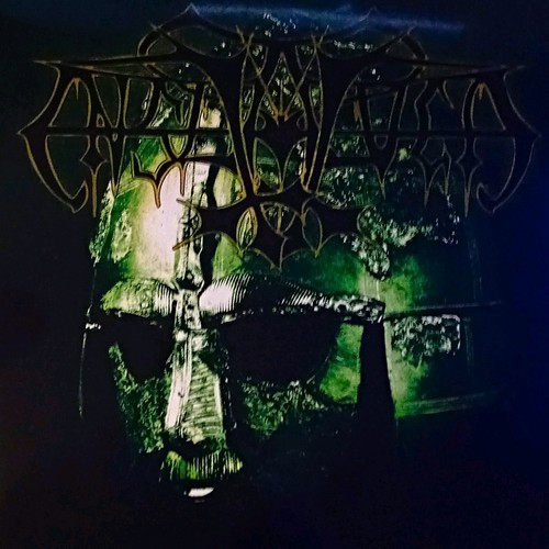 Enslaved vikinglig veldi - veldi, 12"